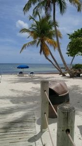 Meet your Posher, Madeline